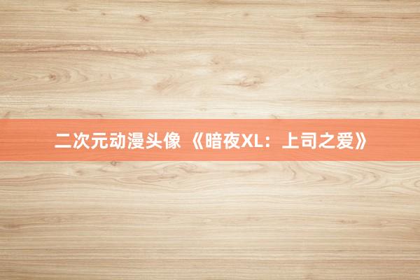 二次元动漫头像 《暗夜XL：上司之爱》