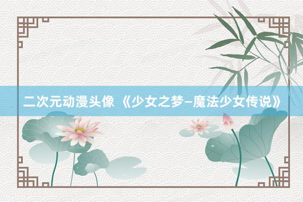 二次元动漫头像 《少女之梦—魔法少女传说》