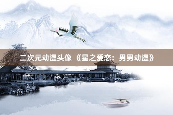 二次元动漫头像 《星之爱恋：男男动漫》